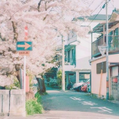 【光明时评】践行大食物观，让食物供给更多元化