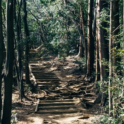 今天上午，金山区七届人大五次会议闭幕