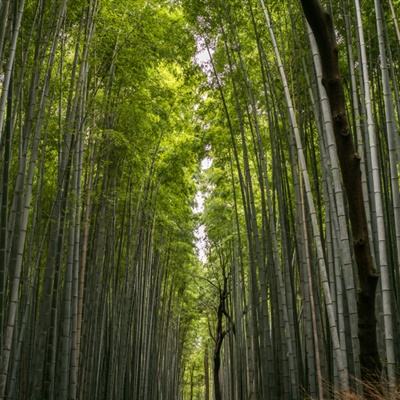 清路面、保畅通，多地“备战”夏汛